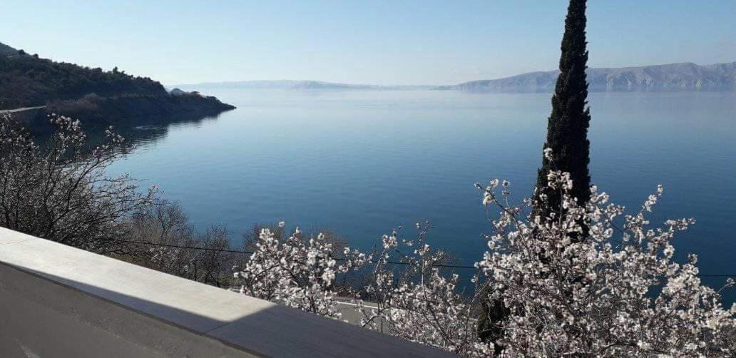 Mali Delfin Daire Sveti Juraj Dış mekan fotoğraf